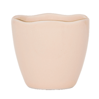 Nature Urbaine - Culture Bonjour - Coquetiers Rose Vieux - Lot de 2 Culture Nature Urbaine