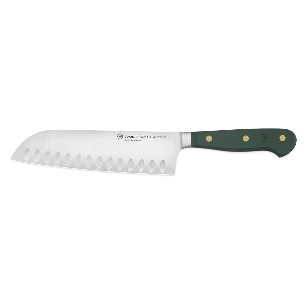 Bloc de couteaux Wüsthof Classic Fresh Rosemary (8 pièces)