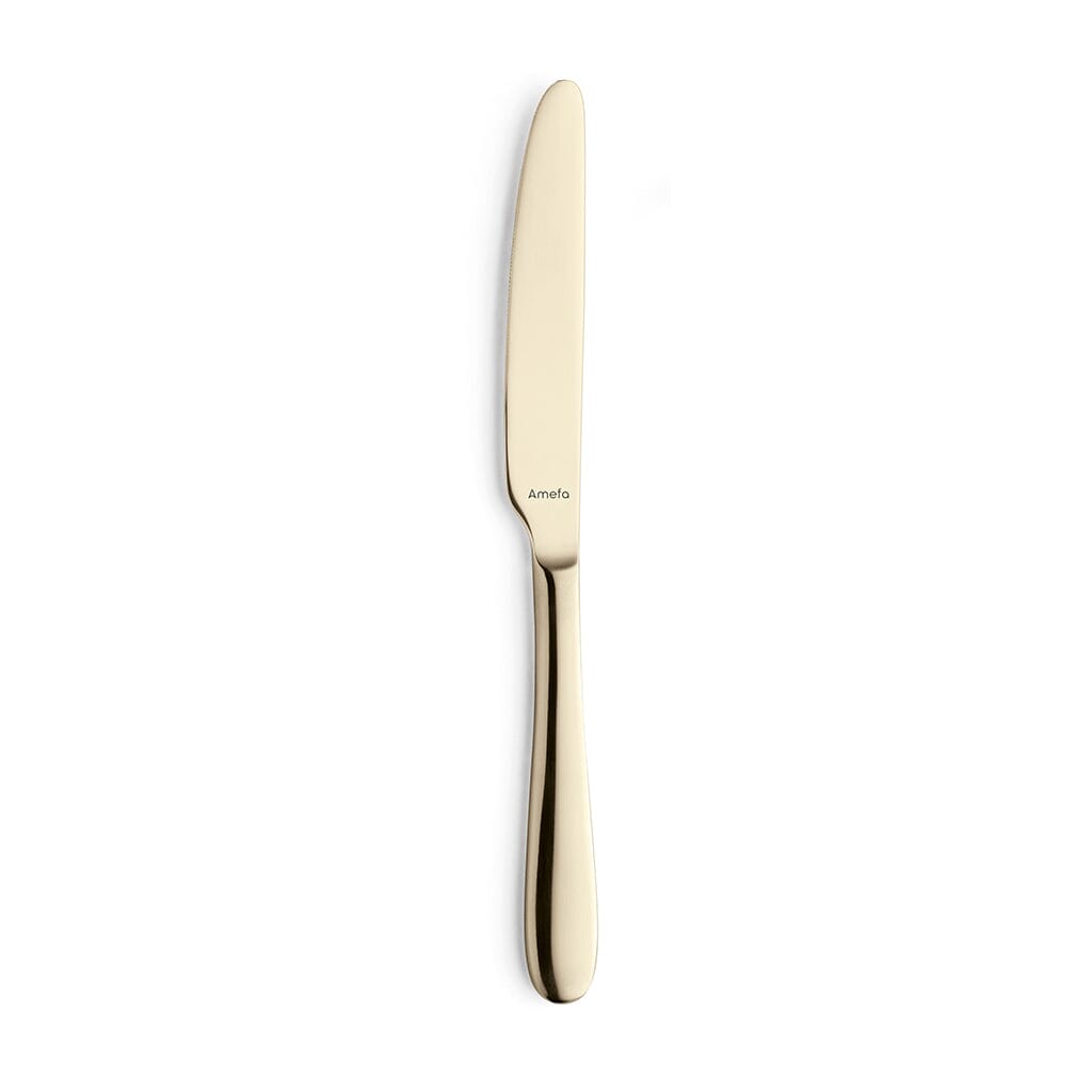Amefa - Oxford - Coffret de couverts 24 pièces pour 6 personnes, finition brillante - Champagne